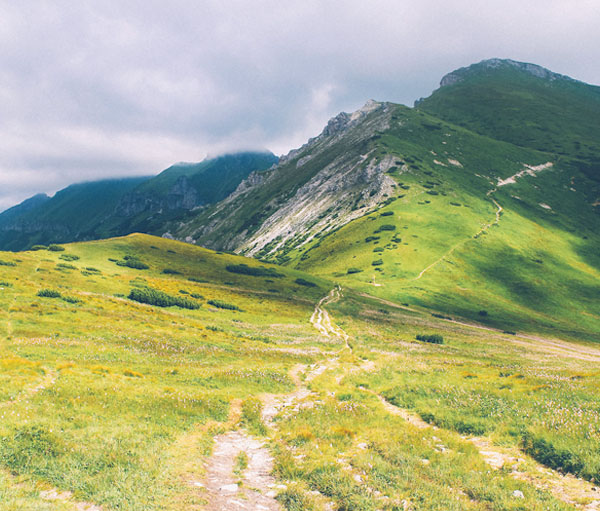 ddos压力在线测试平台